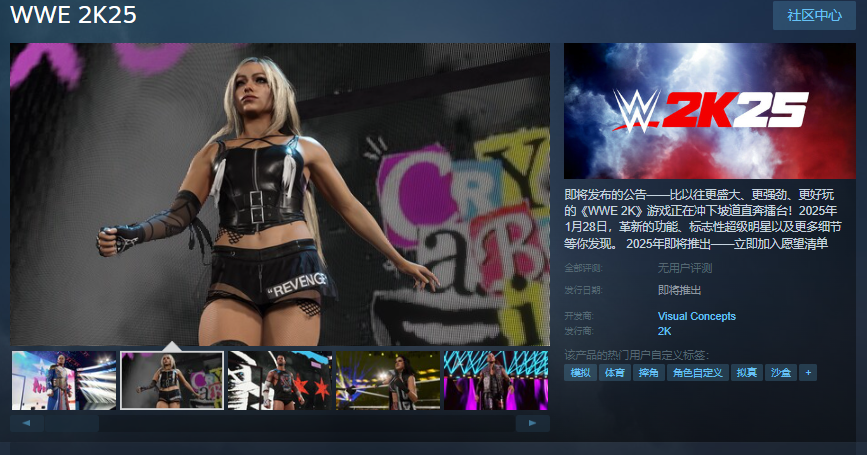 WWE 2K25Steamҳ濪 ڴ