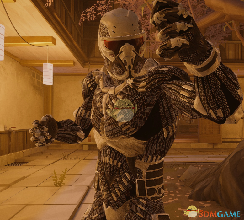 《师父》孤岛危机1纳米套装MOD