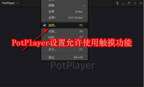 PotPlayer怎么设置允许使用触摸功能