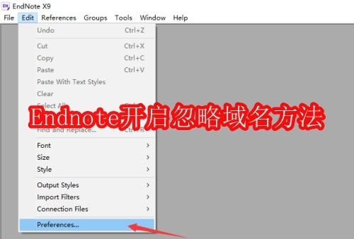 Endnote怎么开启忽略域名