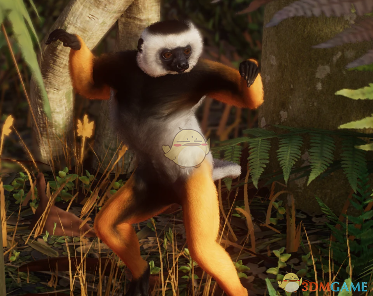 《动物园之星》新物种冕狐猴MOD