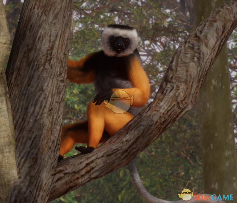 《动物园之星》新物种冕狐猴MOD