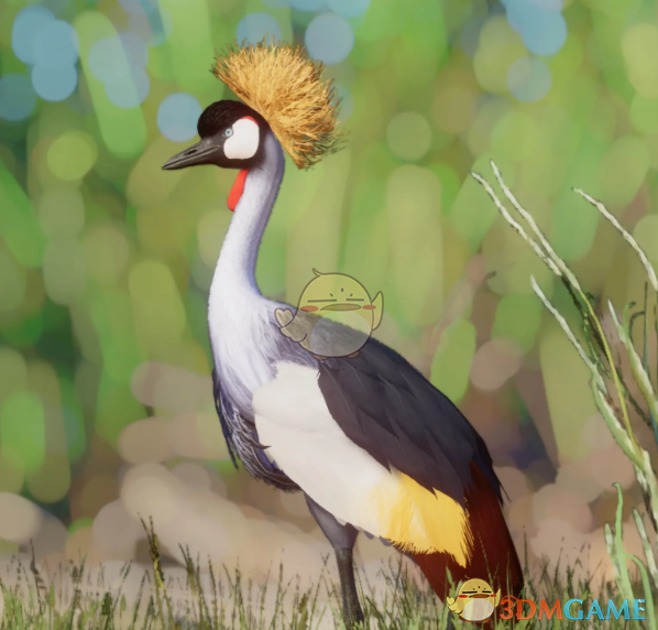 《动物园之星》新物种灰冠鹤MOD