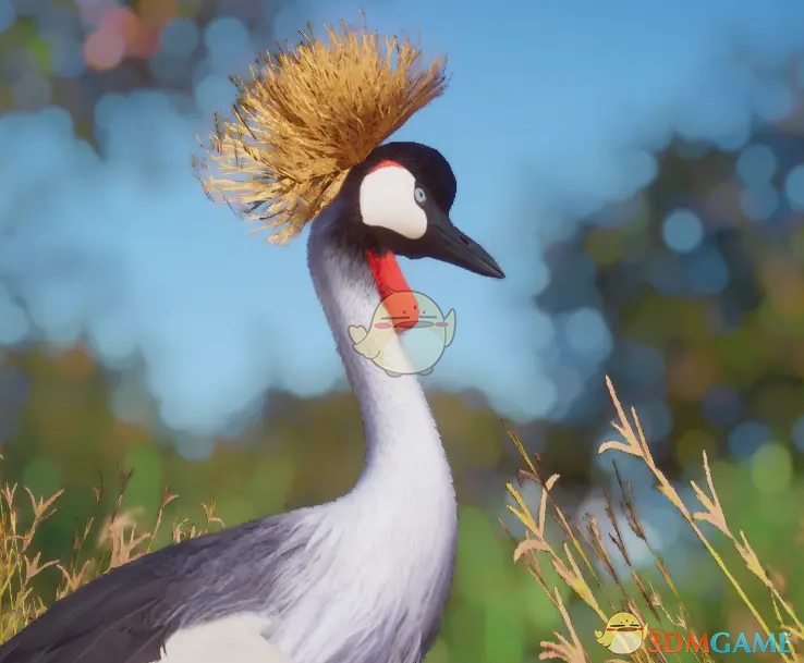 《动物园之星》新物种灰冠鹤MOD