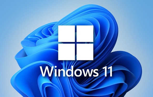  Windows 11ʾٷֱ