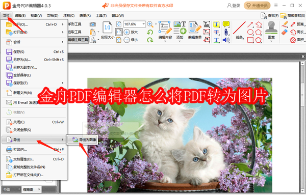 金舟PDF编辑器怎么将PDF转为图片