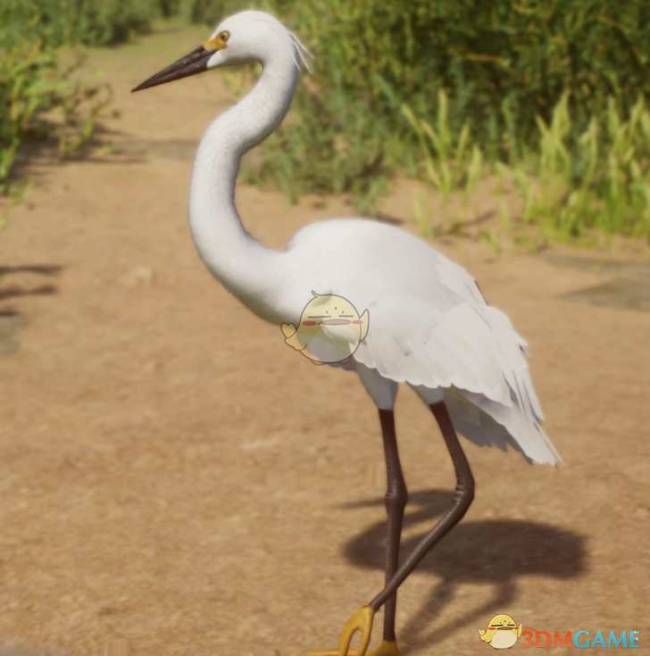 《动物园之星》新物种雪鹭MOD