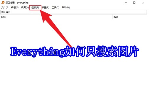 Everything如何只搜索图片