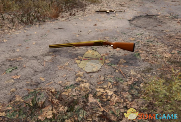 《潜行者2：切尔诺贝利之心》TOZ-34霰弹枪镀金皮肤MOD