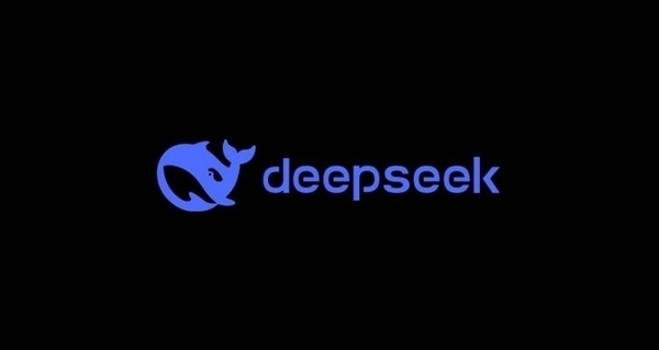 · DeepSeek20