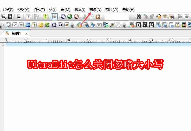 UltraEdit怎么关闭忽略大小写