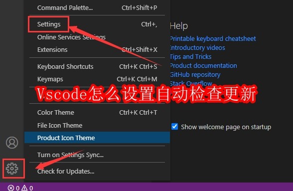 Vscode怎么设置自动检查更新
