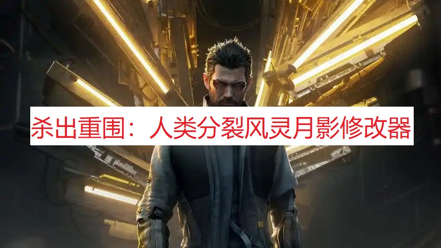 《杀出重围：人类分裂》风灵月影修改器