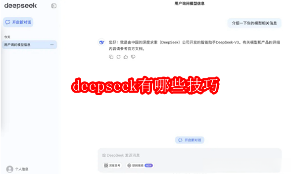 deepseek提问技巧汇总