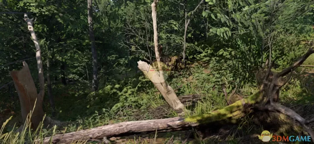 《天国：拯救2》色彩更加自然的画面预设MOD