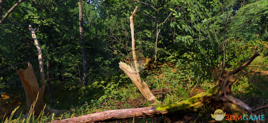 《天国：拯救2》色彩更加自然的画面预设MOD