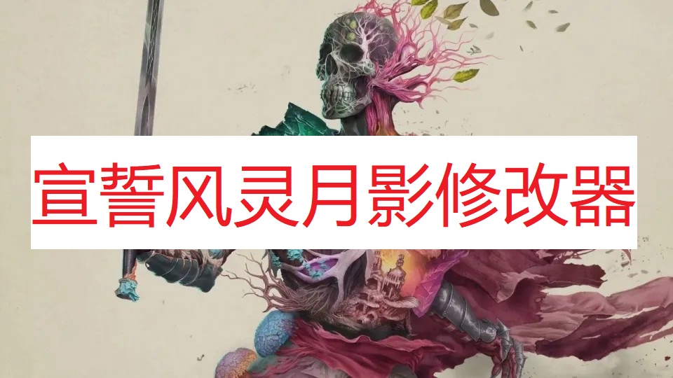 《宣誓》风灵月影修改器