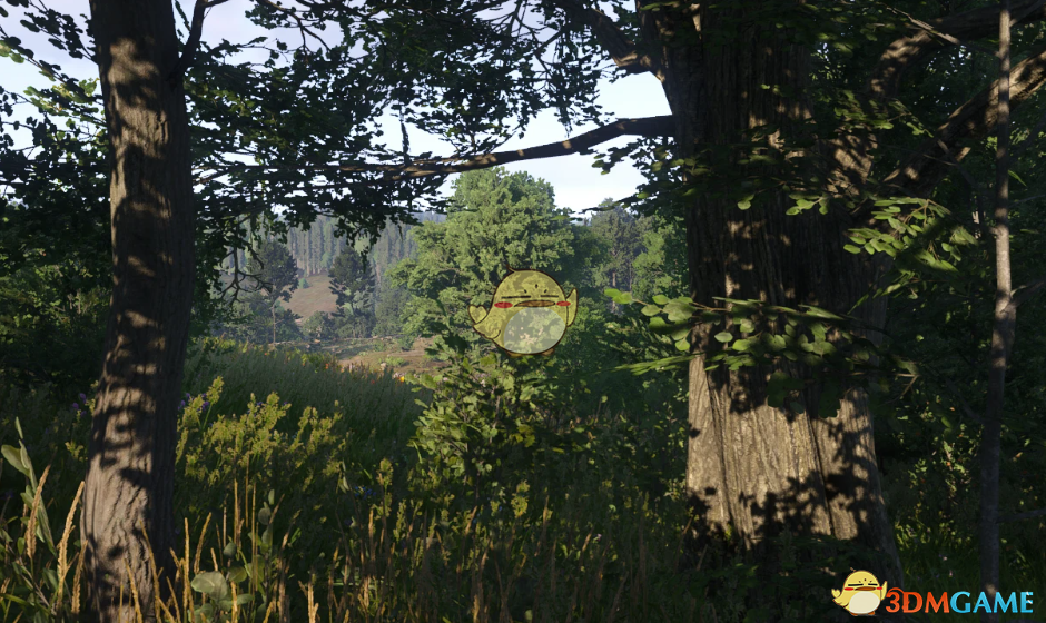 《天国：拯救2》较暗的阴影MOD