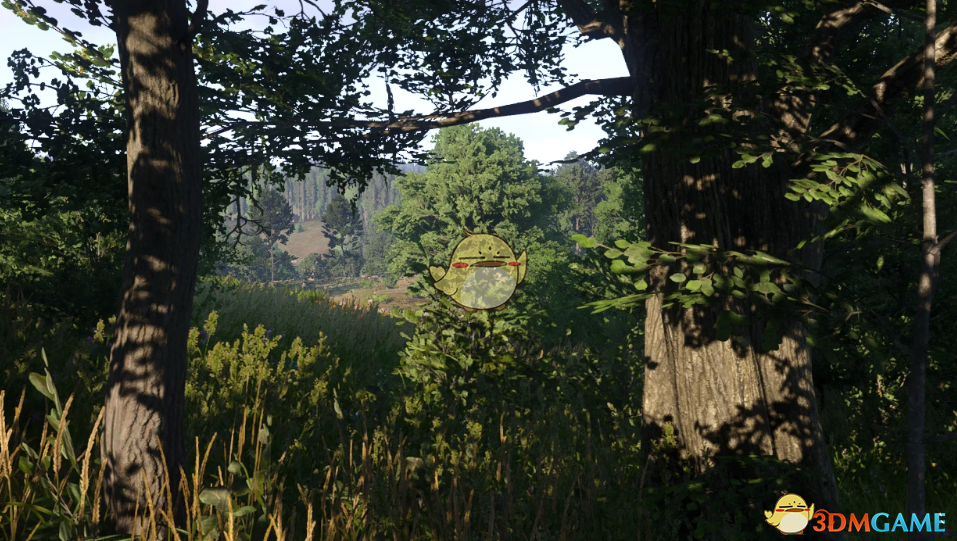 《天国：拯救2》较暗的阴影MOD