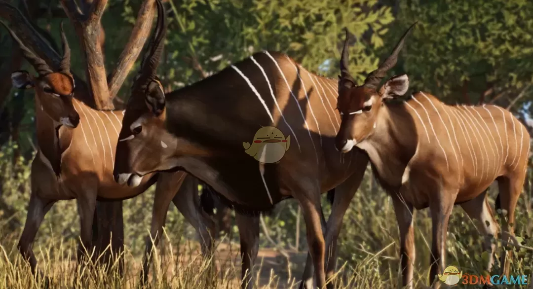 《动物园之星》新物种巨羚羊MOD