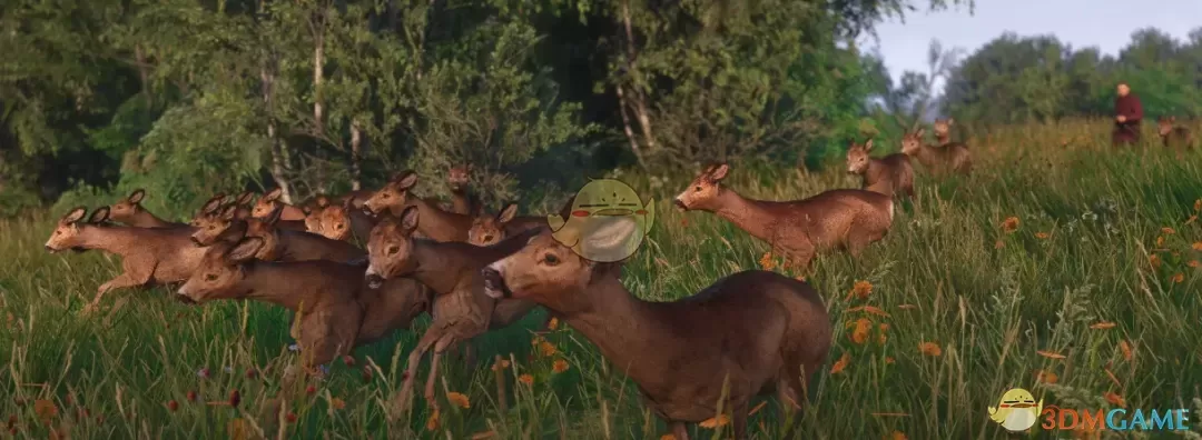 《天国：拯救2》荒野更多的野生动物MOD
