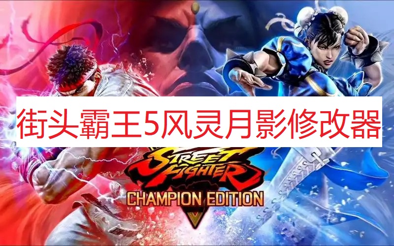 《街头霸王5》风灵月影修改器