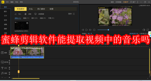 蜜蜂剪辑软件能提取视频中的音乐吗