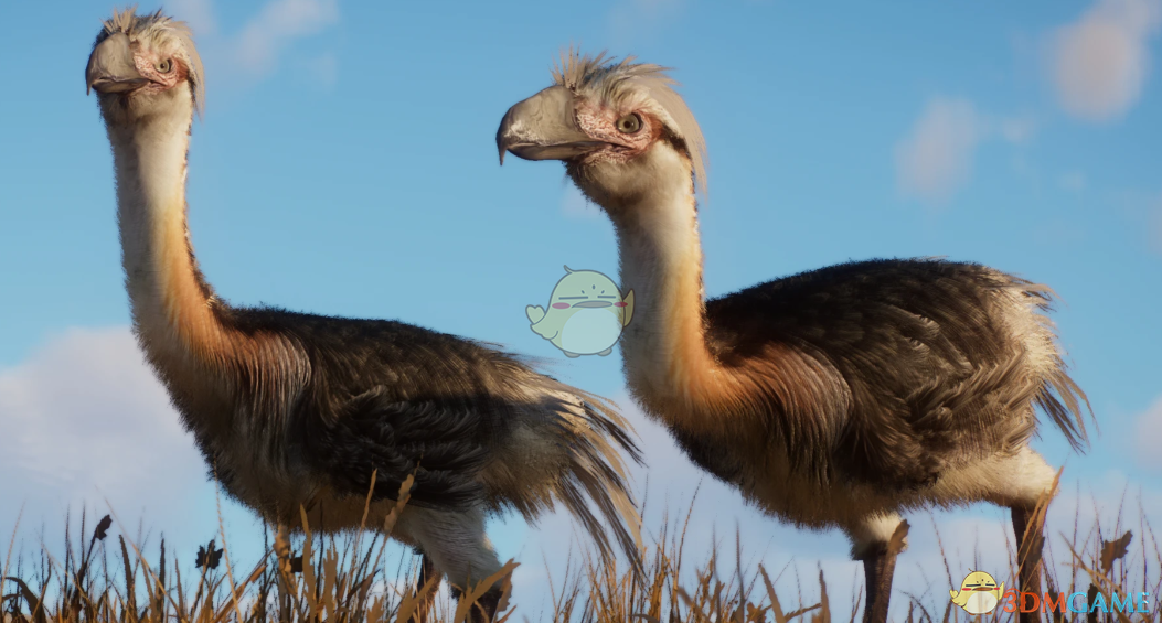 《动物园之星》新物种斯卡利亚壮丽鸟MOD