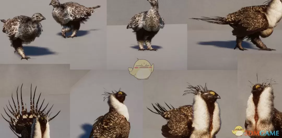 《动物园之星》新物种艾草松鸡MOD