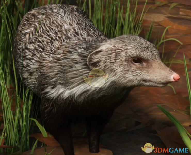 《动物园之星》新物种食蟹獴MOD