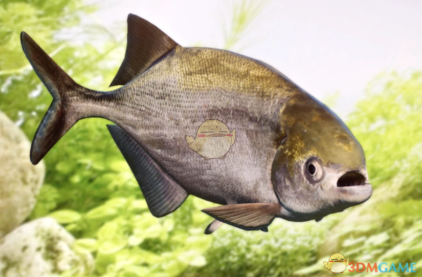 《动物园之星》新物种大鳞斗牛犬鱼MOD