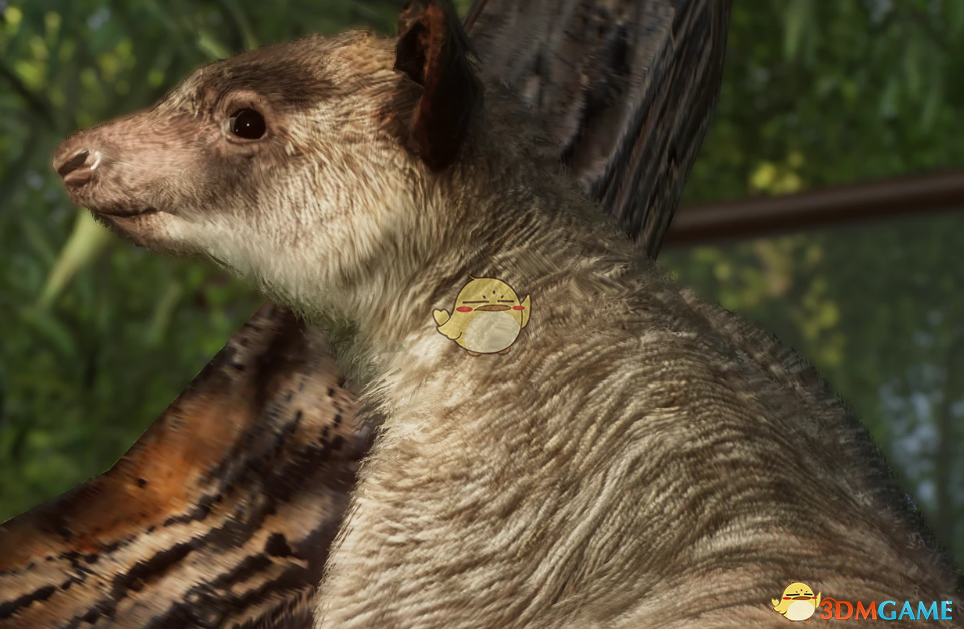 《动物园之星》新物种灰树袋鼠MOD