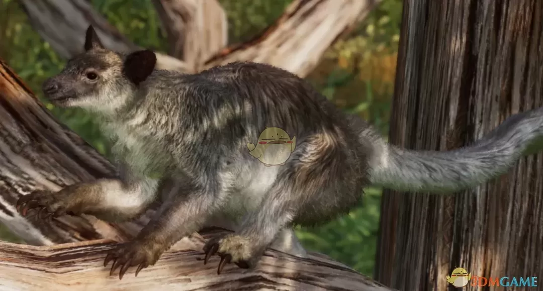 《动物园之星》新物种灰树袋鼠MOD
