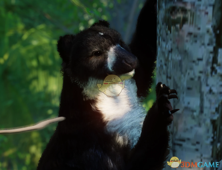 《动物园之星》新物种白腹树袋鼠MOD