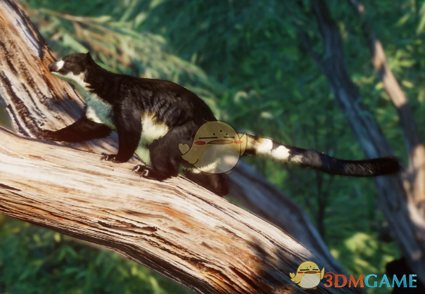 《动物园之星》新物种白腹树袋鼠MOD