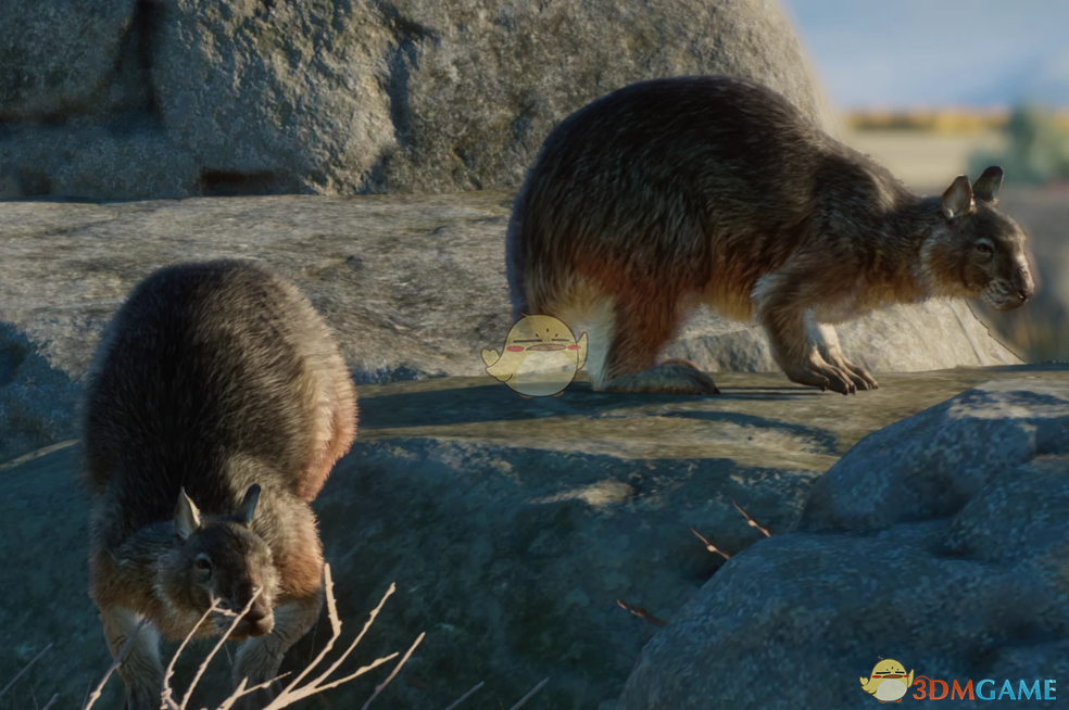 《动物园之星》新物种米诺卡岛兔王MOD