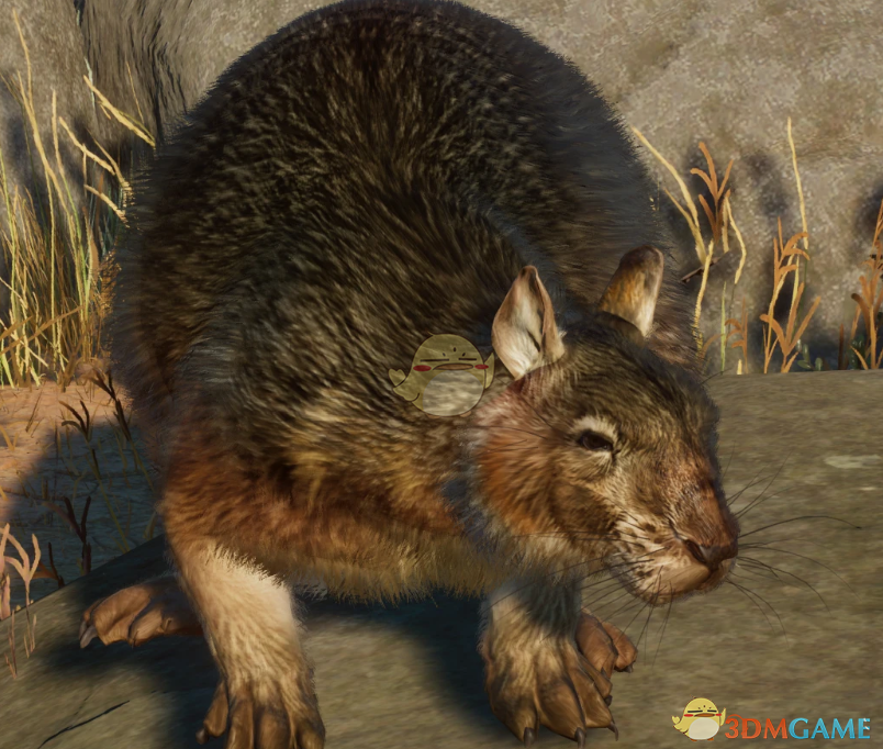 《动物园之星》新物种米诺卡岛兔王MOD