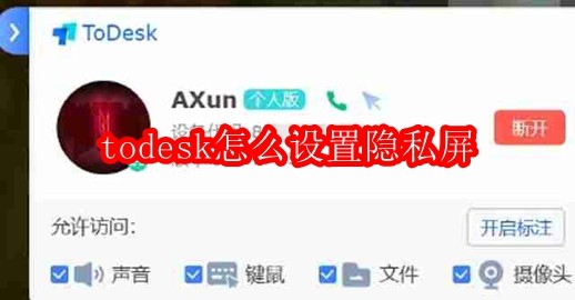 todesk怎么设置隐私屏