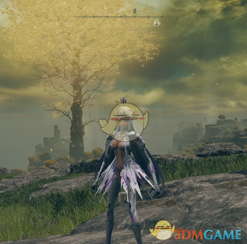 《艾尔登法环》扮演幻塔梅丽尔MOD