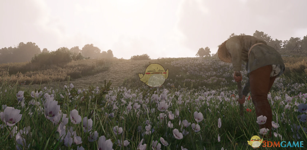 《天国：拯救2》可见性更好的画面预设MOD