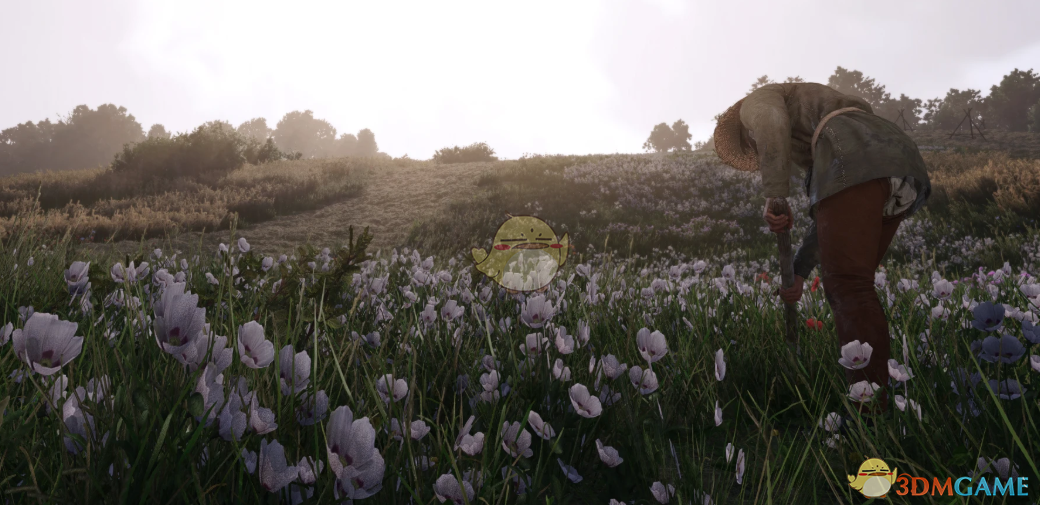 《天国：拯救2》可见性更好的画面预设MOD