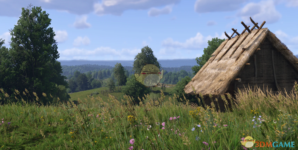 《天国：拯救2》可见性更好的画面预设MOD