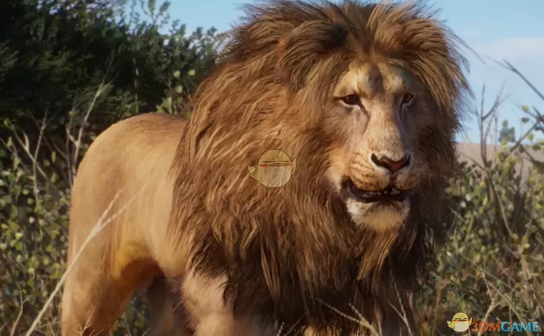 《动物园之星》新物种安哥拉狮MOD