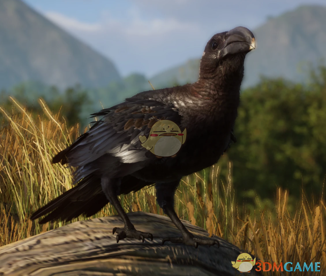 《动物园之星》新物种厚嘴渡鸦MOD
