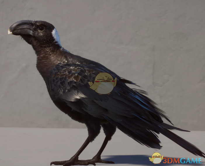 《动物园之星》新物种厚嘴渡鸦MOD