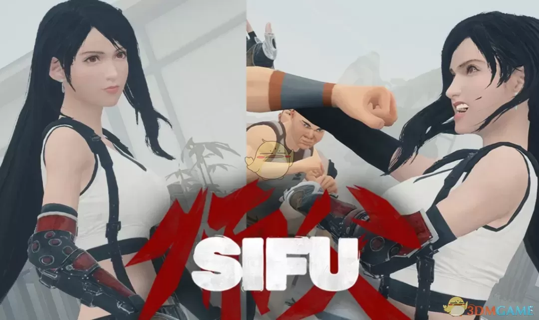 《师父》扮演最终幻想7重制版蒂法MOD