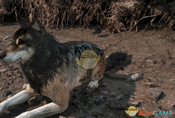 《天国：拯救2》狼犬MuttMOD