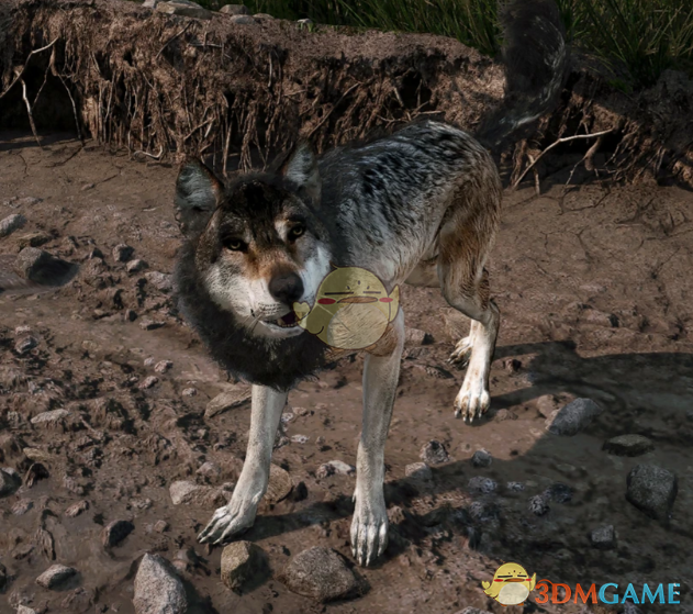 《天国：拯救2》狼犬MuttMOD