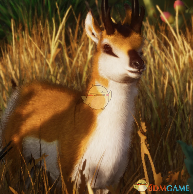 《动物园之星》新物种叉角羚MOD