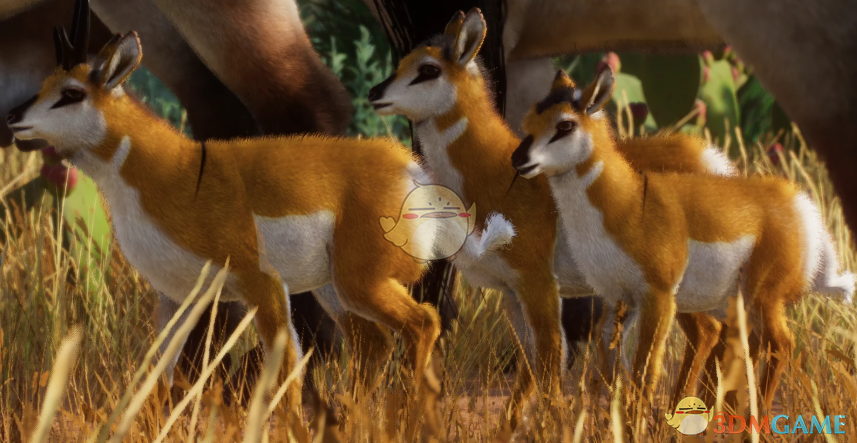 《动物园之星》新物种叉角羚MOD